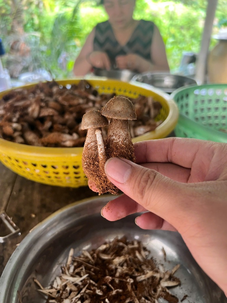 Hợp tác nông nghiệp